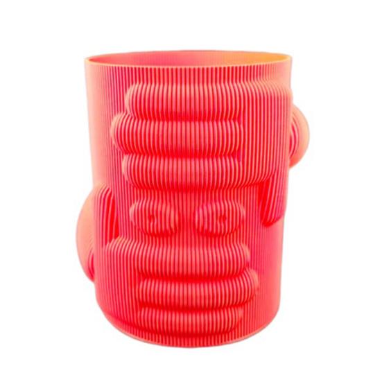 3D Printed Flower Vase, Modern Funny Face Vase for Home Decoration, Small Pampas Vases for Table Shelf Mantel Entryway Decor and Centerpieces
3D Printed Flower Vase, Modern Funny Face Vase for Home Decoration, Small Pampas Vases for Table Shelf Mantel Entryway Decor and Centerpieces