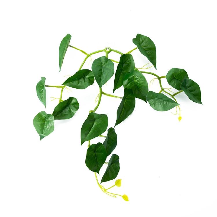 Betta Leaf Bed Suction Cup Leaf Hammock Fishtanks Safe Environment Fish Spawning Grounds Aquariums Landscape Decoration
Betta Leaf Bed Suction Cup Leaf Hammock Fishtanks Safe Environment Fish Spawning Grounds Aquariums Landscape Decoration