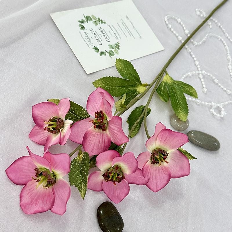 Букет искусственных цветов морозника, поддельные цветы рождественской розы, пластиковая цветочная композиция для свадьбы и помолвки, искусственные растения для домашнего декора
Букет искусственных цветов морозника, поддельные цветы рождественской розы, пластиковая цветочная композиция для свадьбы и помолвки, искусственные растения для домашнего декора