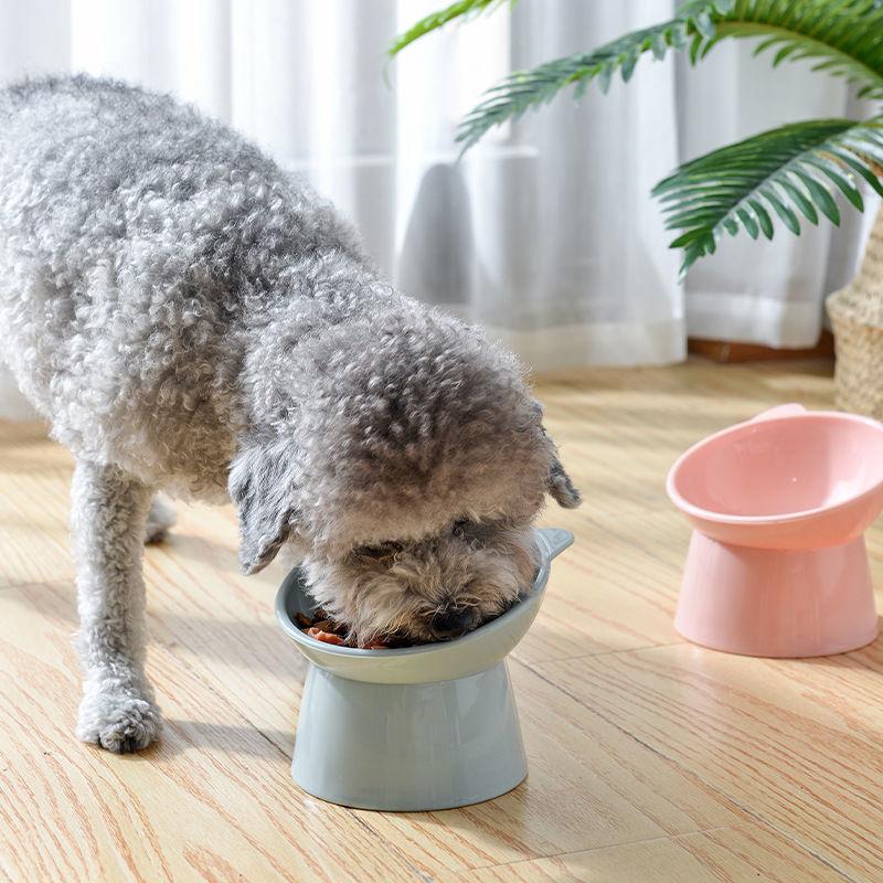 Cat Bowl High Foot Dog Bowl Neck Protector Cat Pet Food Water Bowl Anti-tip Binaural Pet Feeding Cat Accessorie Pet Dessert Bowl
Cat Bowl High Foot Dog Bowl Neck Protector Cat Pet Food Water Bowl Anti-tip Binaural Pet Feeding Cat Accessorie Pet Dessert Bowl