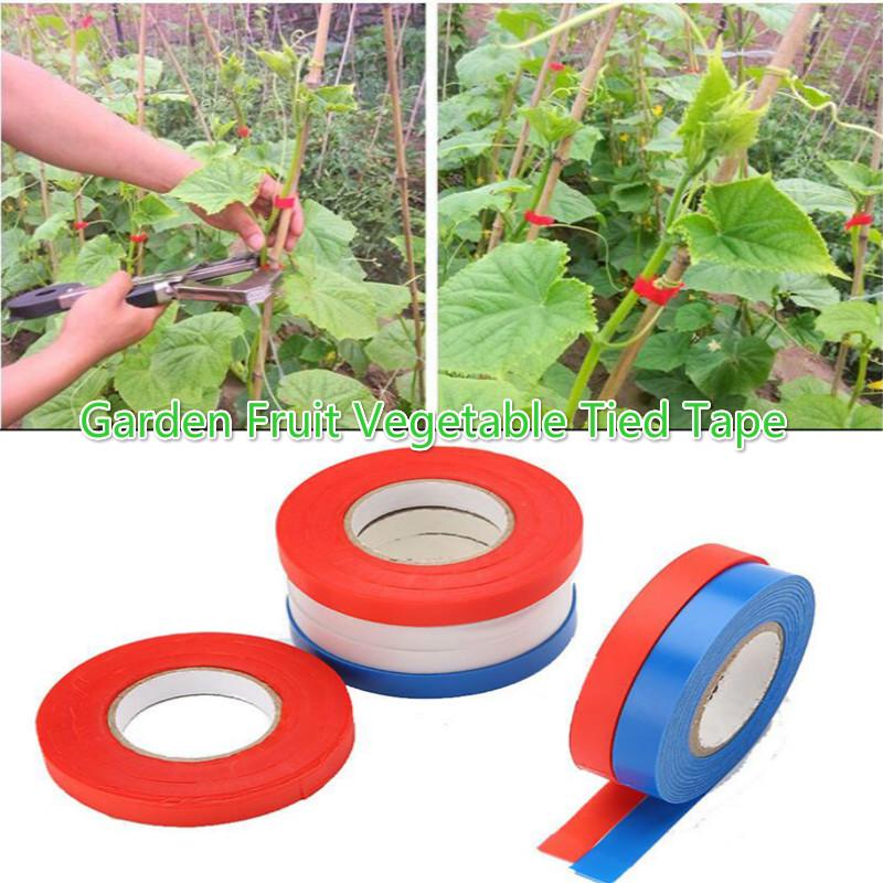 1 шт., ленты из ПВХ, лента для веток растений для садовых инструментов, машина для связывания овощей, фруктов, деревьев, универсальная привязанная
1 шт., ленты из ПВХ, лента для веток растений для садовых инструментов, машина для связывания овощей, фруктов, деревьев, универсальная привязанная