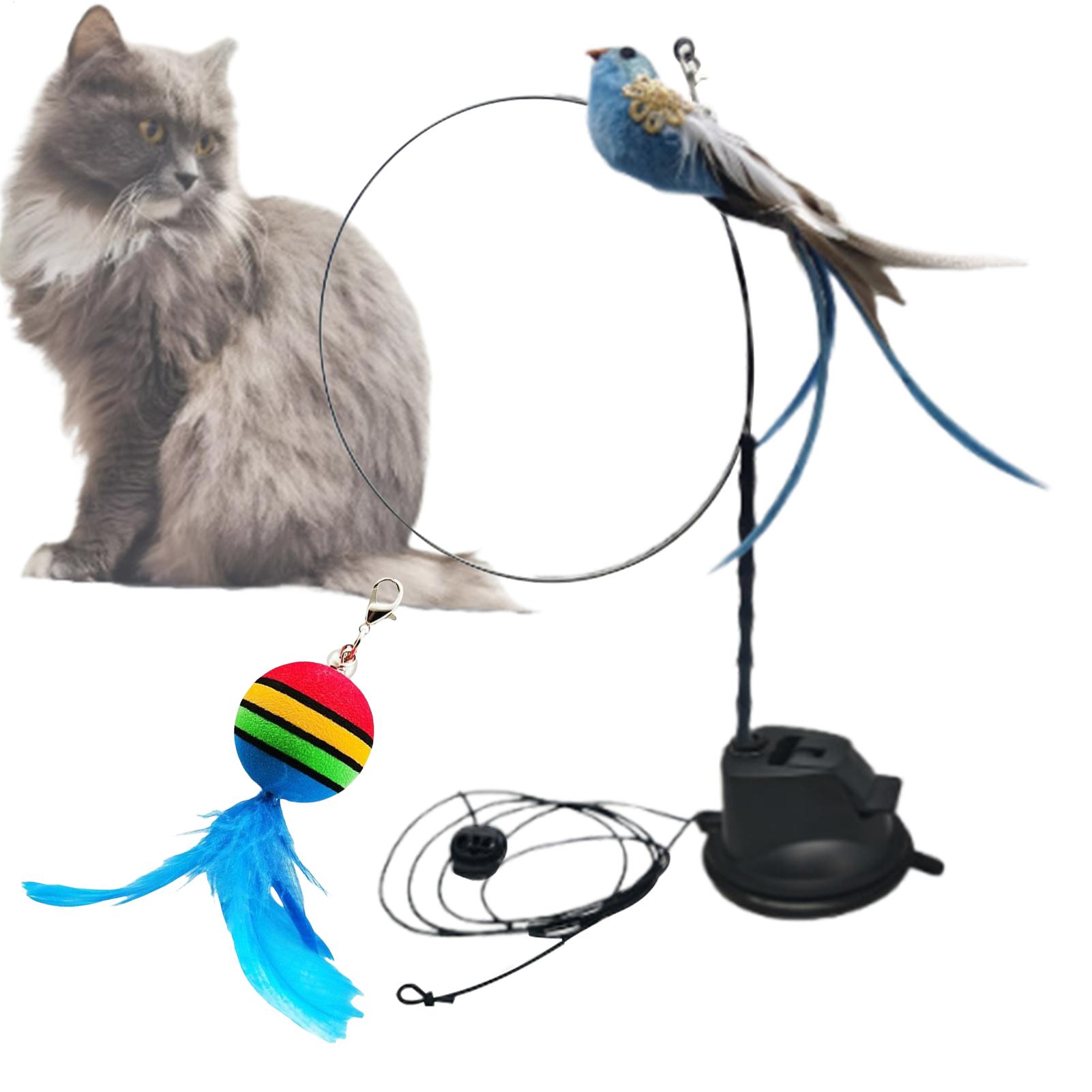 Interactive Cat Toy Interactive Cat Toys Bird Teaser Wand Wand Handheld Wall Mount Natural Bird Kitten Accessories Indoor Games China Mainland
Interactive Cat Toy Interactive Cat Toys Bird Teaser Wand Wand Handheld Wall Mount Natural Bird Kitten Accessories Indoor Games China Mainland