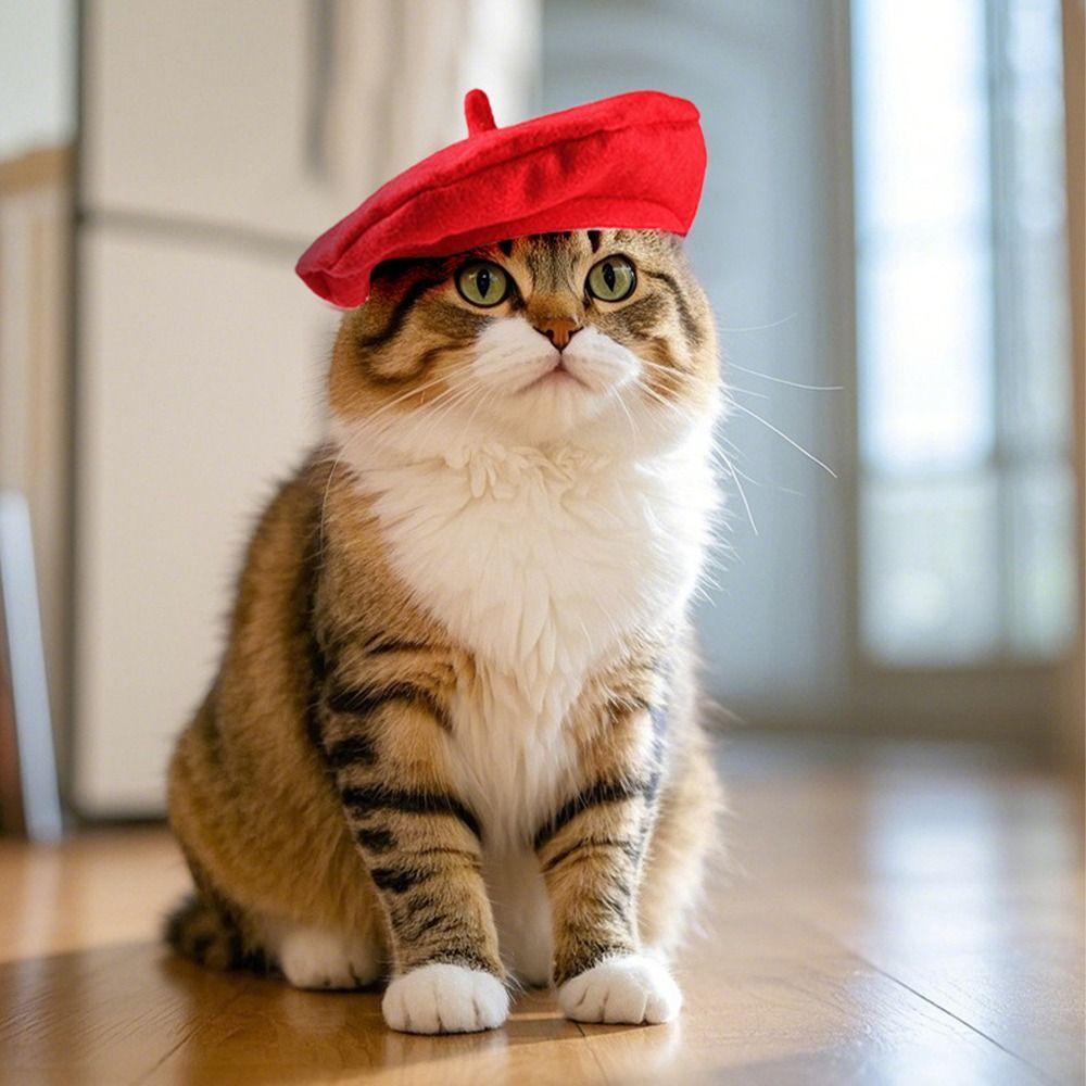 Милый берет для кошки, красная черная шляпа от солнца для кошки, прочный костюм для питомца, для улицы и дома L чёрный
Милый берет для кошки, красная черная шляпа от солнца для кошки, прочный костюм для питомца, для улицы и дома L чёрный