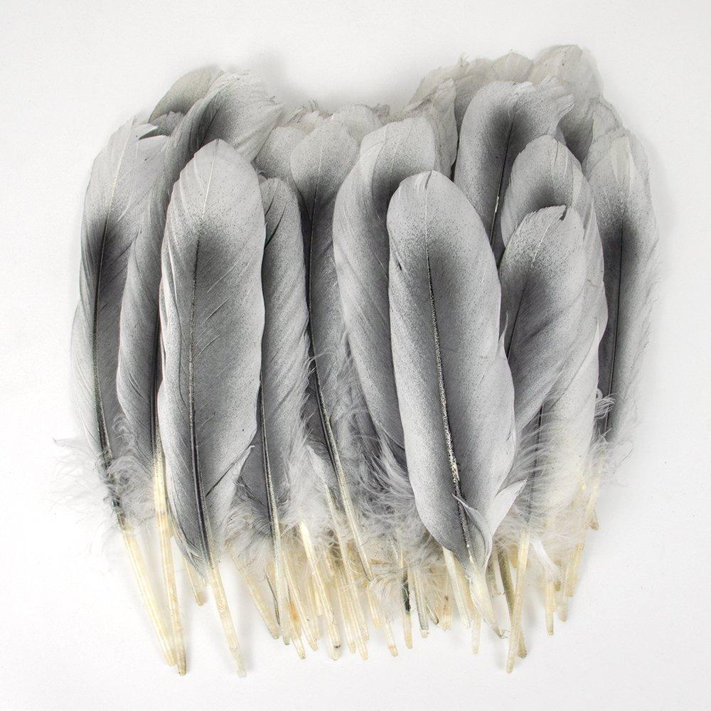 10 шт. Натуральные белые гусиные перья, окрашенные в разные цвета, декоративные перья для рукоделия, аксессуары для костюма для вечеринки, товары для искусства своими руками белый
10 шт. Натуральные белые гусиные перья, окрашенные в разные цвета, декоративные перья для рукоделия, аксессуары для костюма для вечеринки, товары для искусства своими руками белый