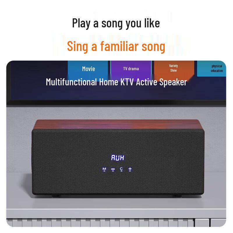 Soaiy F6 Home KTV Karaoke System
Soaiy F6 Home KTV Karaoke System