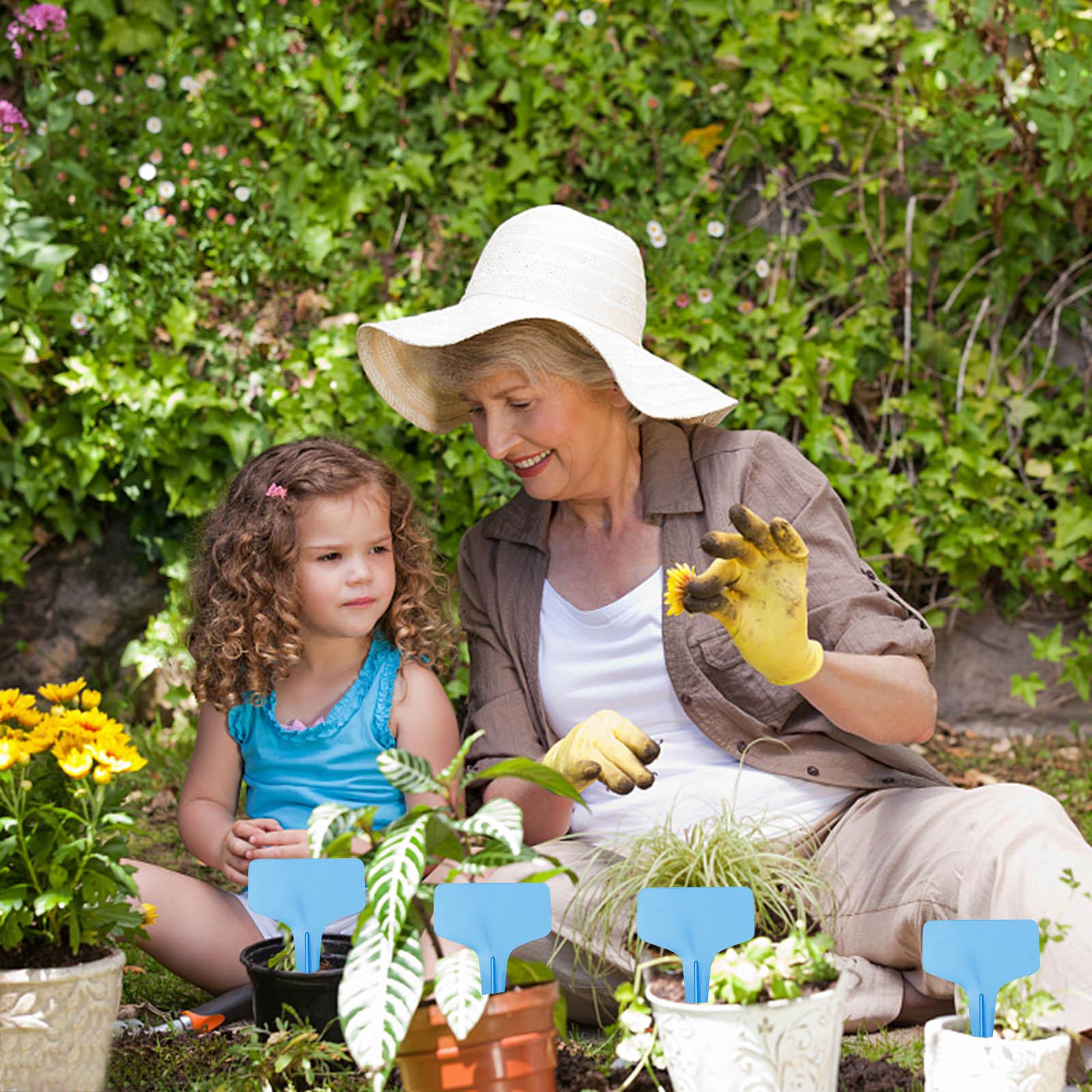 50 шт. садовые маркеры, этикетки для растений, Т-образные бирки для растений, уличный садовый знак BU синий
50 шт. садовые маркеры, этикетки для растений, Т-образные бирки для растений, уличный садовый знак BU синий
