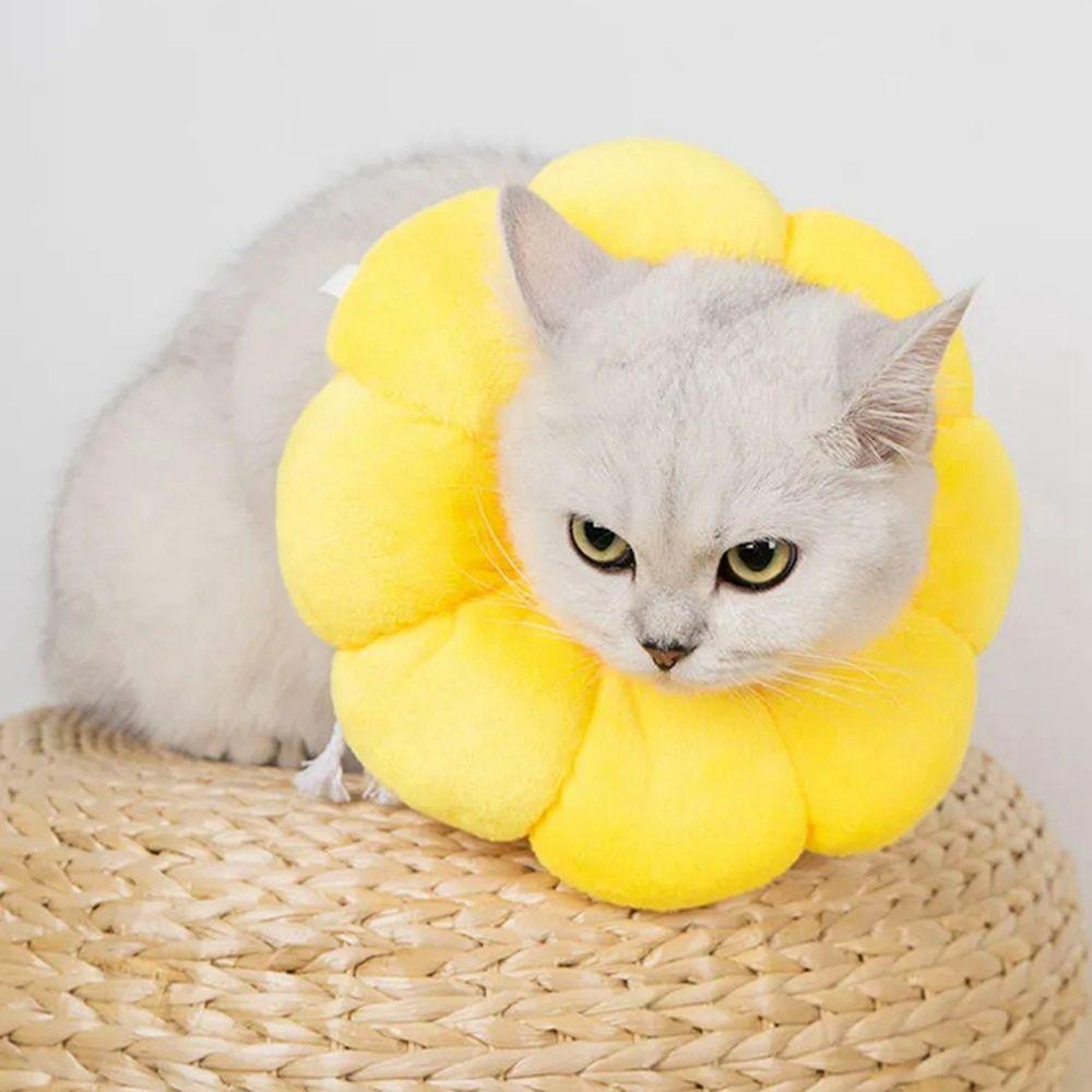 Хлопок для щенков, котят, кошек, конусов, елизаветинских ошейников, аксессуаров для собак, ошейников для кошек, товаров для животных XS жёлтый
Хлопок для щенков, котят, кошек, конусов, елизаветинских ошейников, аксессуаров для собак, ошейников для кошек, товаров для животных XS жёлтый
