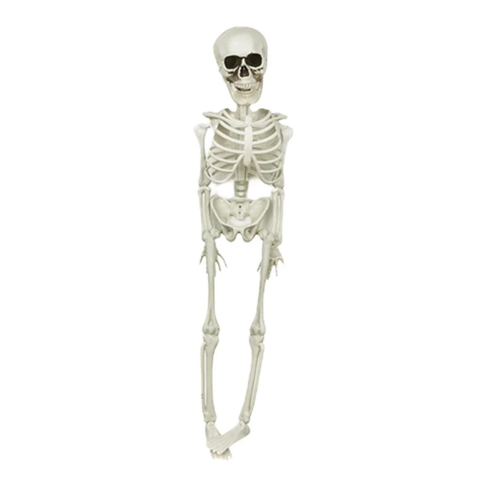 Halloween Skeleton Decoration Whole Body Halloween Hanging Skeleton Decoration With Movable Joints For Halloween Graveyard Haunted House Decoration One Size
Halloween Skeleton Decoration Whole Body Halloween Hanging Skeleton Decoration With Movable Joints For Halloween Graveyard Haunted House Decoration One Size