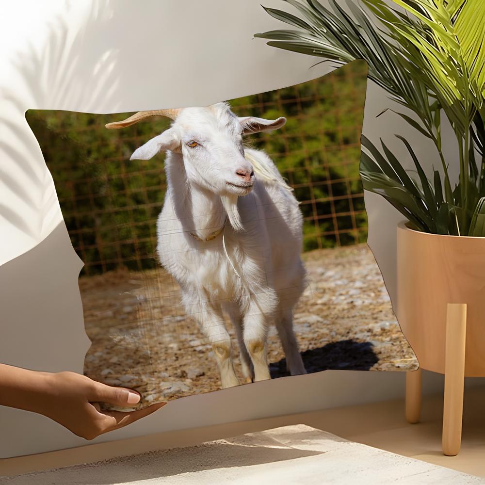 Cool goat meme Pillow Case Home Living Room Decoration Linen Pillow Cases Cushion Cover 30X30cm
Cool goat meme Pillow Case Home Living Room Decoration Linen Pillow Cases Cushion Cover 30X30cm
