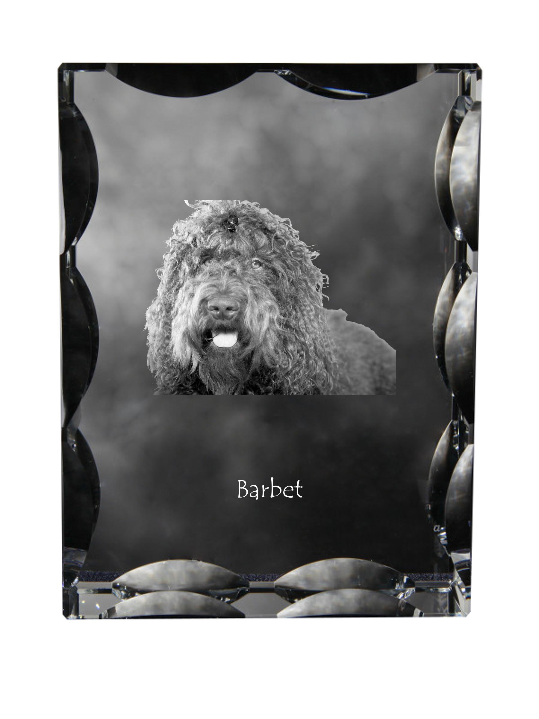 Barbet, French Water Dog - crystal with a picture of a dog, glass statuette with a picture, unique frame with a picture from Art-Dog brand прозорий
Barbet, French Water Dog - crystal with a picture of a dog, glass statuette with a picture, unique frame with a picture from Art-Dog brand прозорий