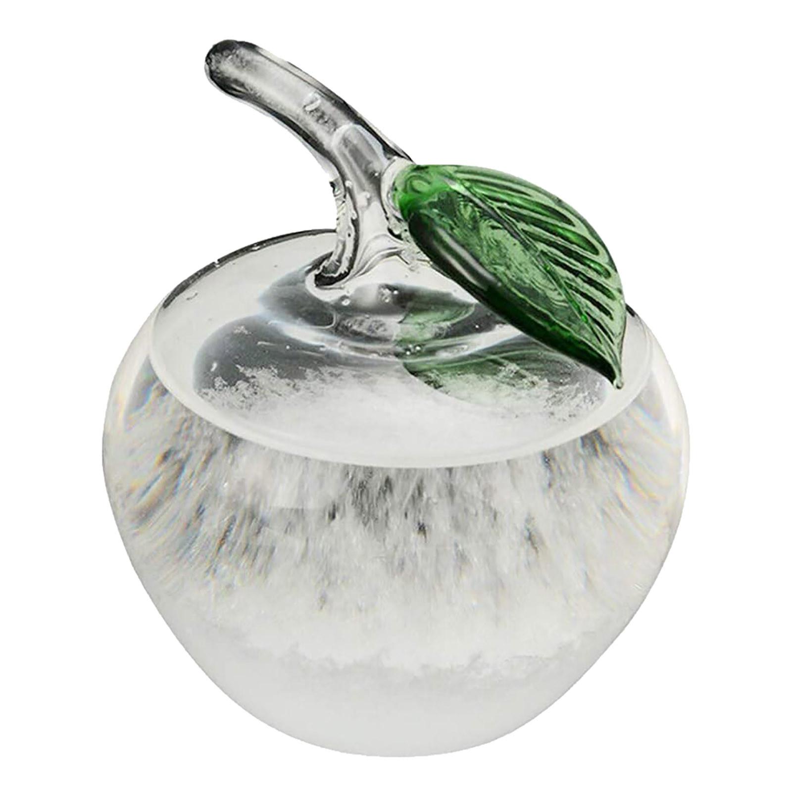 Сменная стеклянная бутылка для изменения погоды, 50 мл, настольное украшение, стеклянные поделки One Size белый
Сменная стеклянная бутылка для изменения погоды, 50 мл, настольное украшение, стеклянные поделки One Size белый