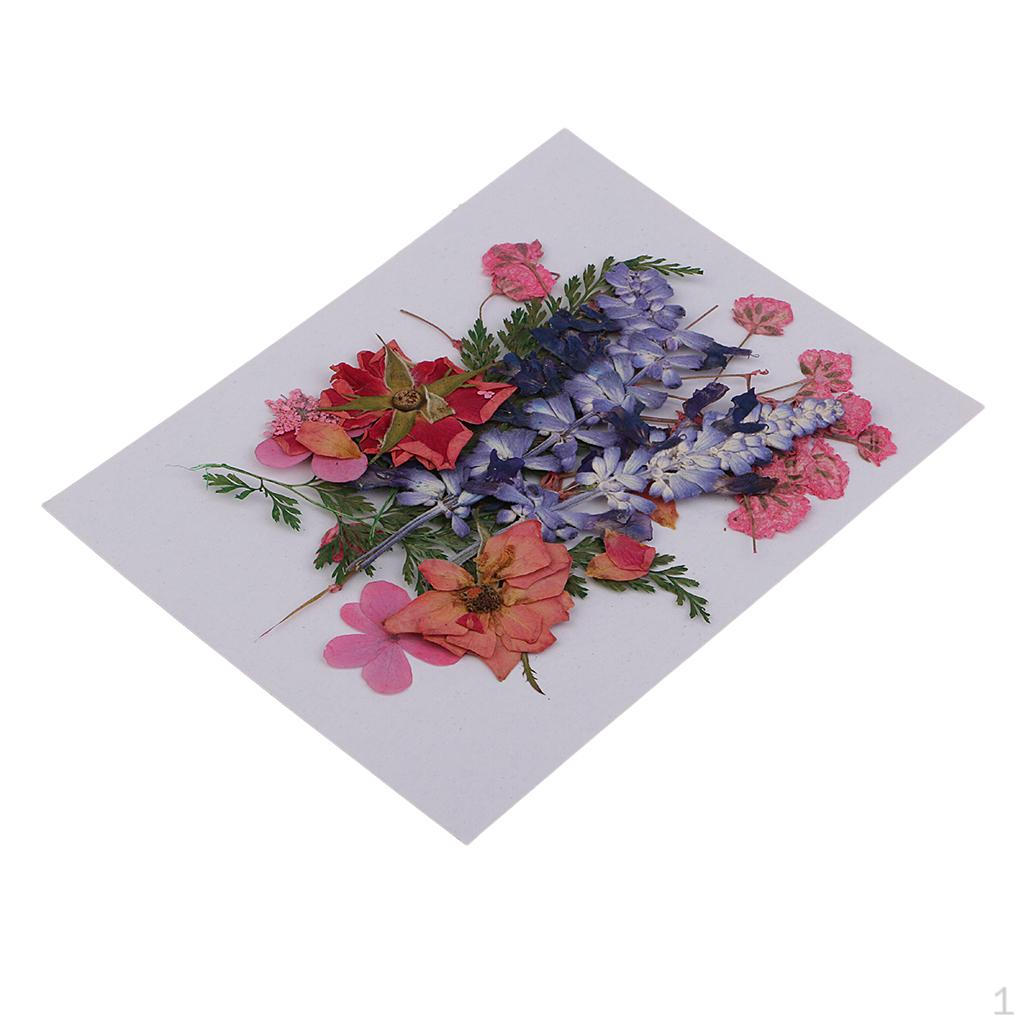 Decorations. Dried Flowers. Flowers for size 2
Decorations. Dried Flowers. Flowers for size 2