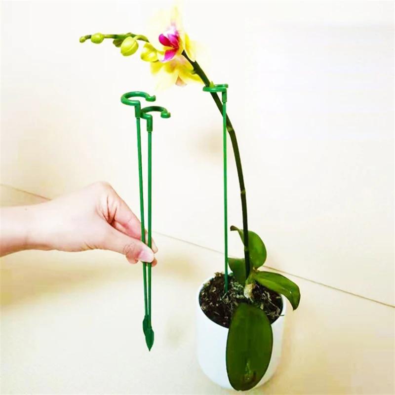 10PCS 37CM Indoors Plant Cage Ring Orchid Rose Tomato Fiberglass Stake Garden Single Stem Support Ring Stick Type A
10PCS 37CM Indoors Plant Cage Ring Orchid Rose Tomato Fiberglass Stake Garden Single Stem Support Ring Stick Type A