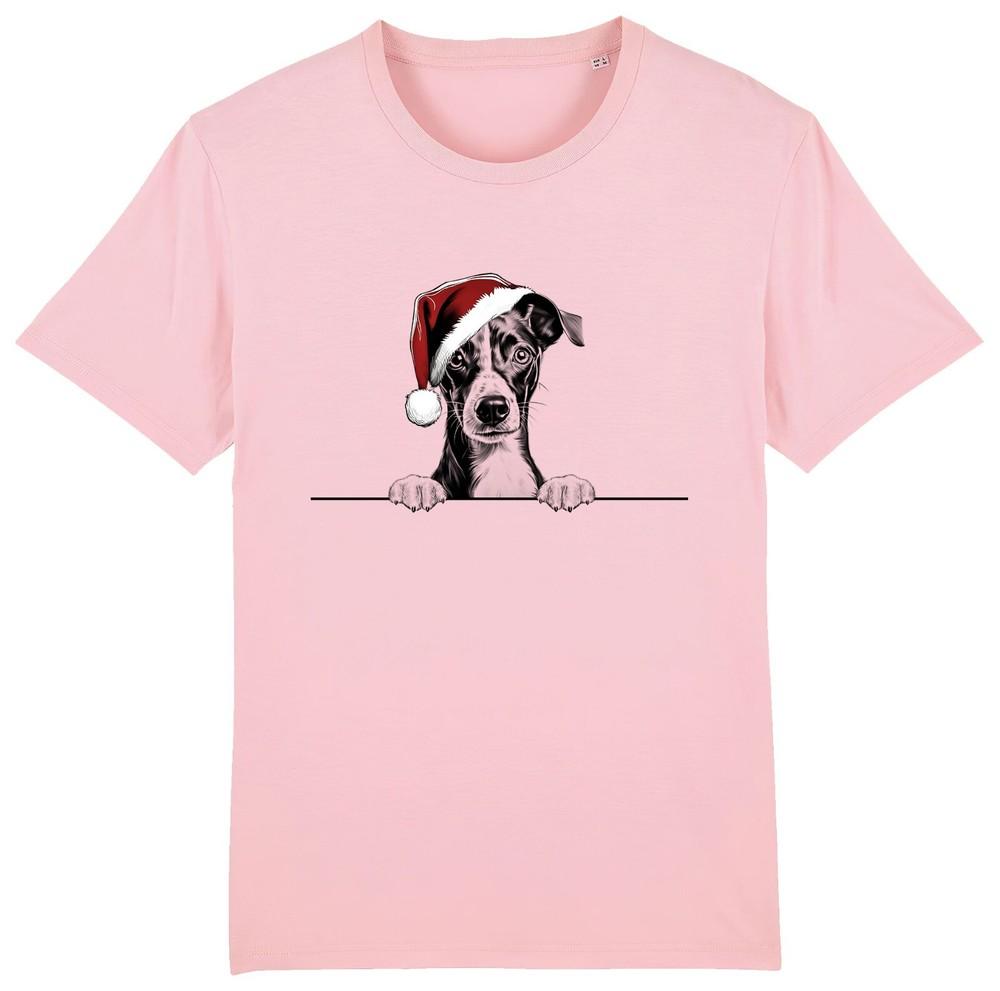 Итальянская борзая Рождественская футболка для собаки Мужская Женская Детская Собаки Подарок Носок Рождество M
Итальянская борзая Рождественская футболка для собаки Мужская Женская Детская Собаки Подарок Носок Рождество M