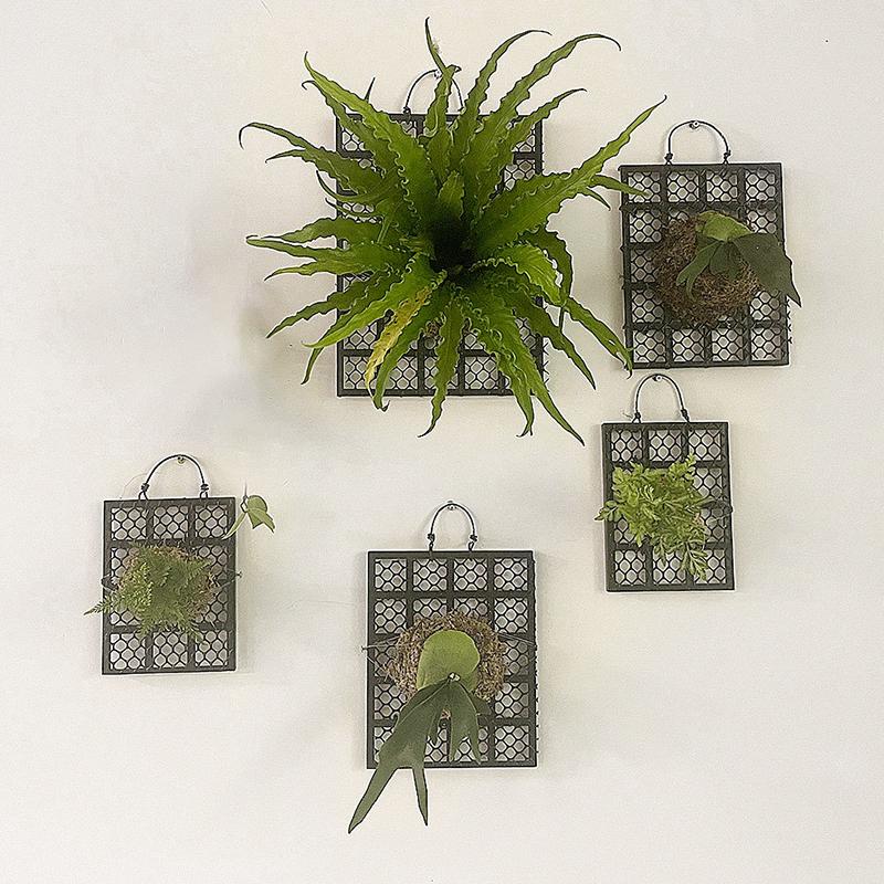 1PC Plastic Wall Hanging Creative Wall Mounted Board Black Plant Bed Board Thickened 22x16/27x21/37x27cm 22x16CM
1PC Plastic Wall Hanging Creative Wall Mounted Board Black Plant Bed Board Thickened 22x16/27x21/37x27cm 22x16CM