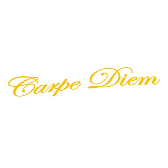 Carpe Diem Letters Design Car Vehicle Front Windshield Sticker Decals Decals Decor жовтий
Carpe Diem Letters Design Car Vehicle Front Windshield Sticker Decals Decals Decor жовтий