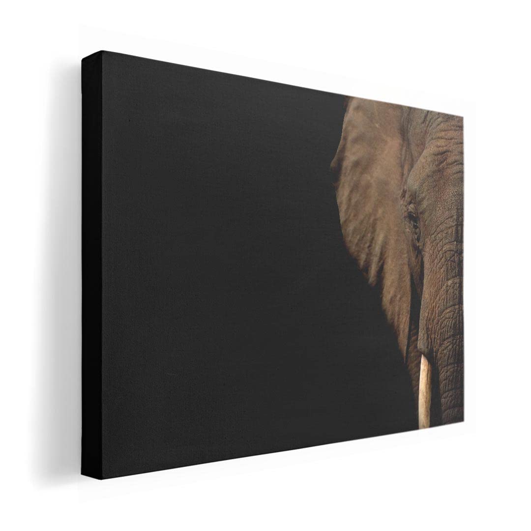 Art 420mm x Wall Wooden Stylish Interior Animal Panel, Painting, Decoration, igsticker, 297mm, A3, Photo, Hanging, Frame, Decor, 023247, Elephant,
Art 420mm x Wall Wooden Stylish Interior Animal Panel, Painting, Decoration, igsticker, 297mm, A3, Photo, Hanging, Frame, Decor, 023247, Elephant,
