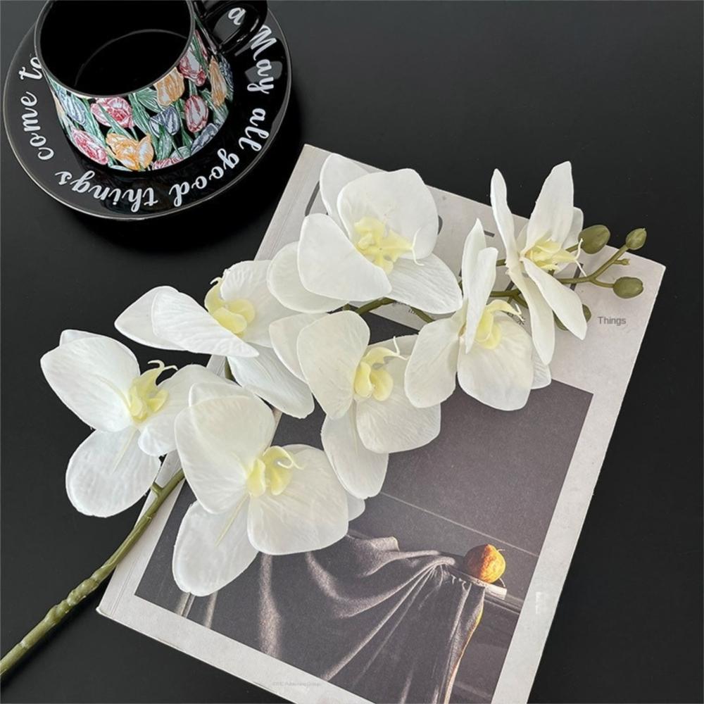 76cm Simulation Flower Real Touch Plant Silk Flower New Artificial Butterfly Orchid Home Decor
76cm Simulation Flower Real Touch Plant Silk Flower New Artificial Butterfly Orchid Home Decor