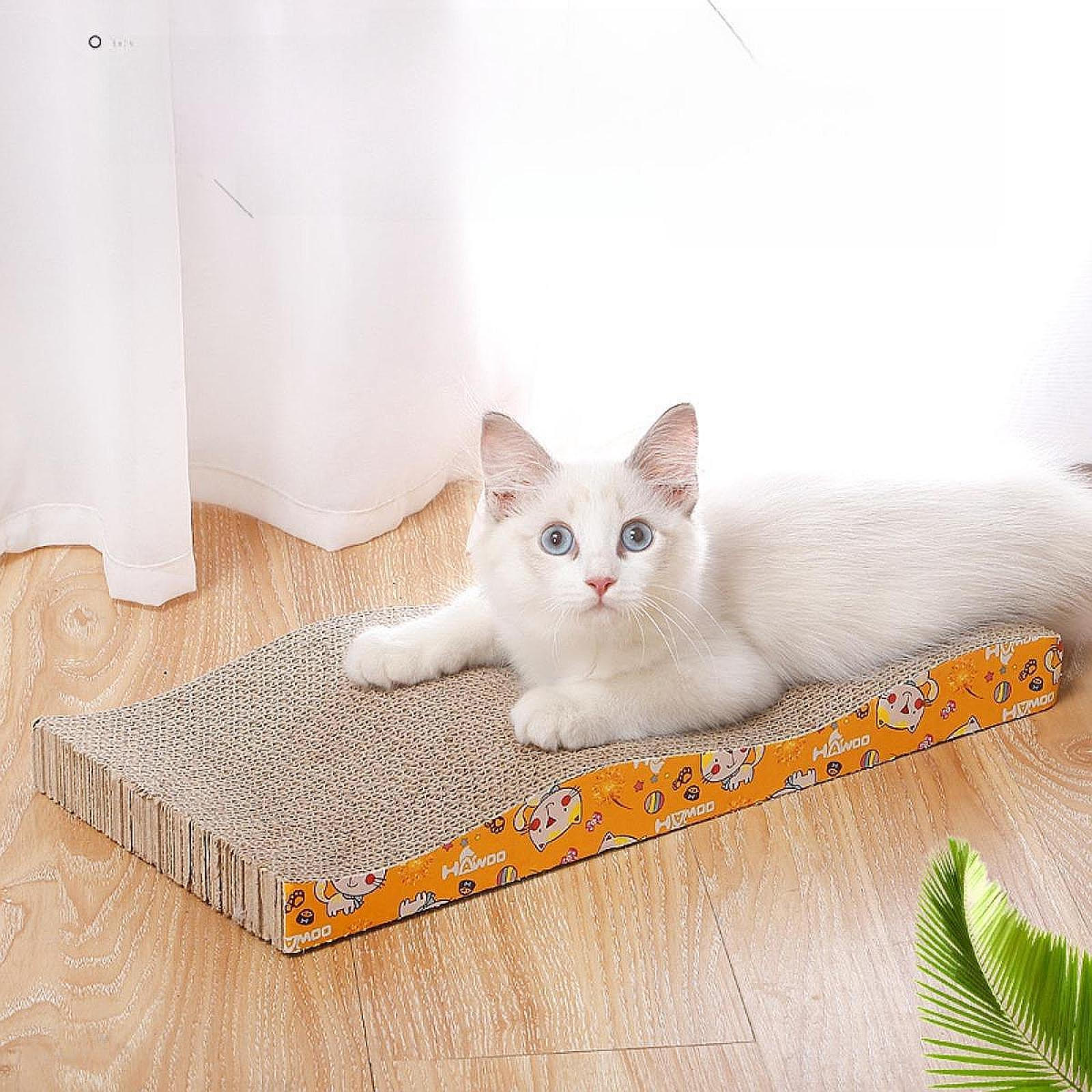 Когтеточка Доска для царапания Милая износостойкая гофрированная подкладка для домашних кошек
Когтеточка Доска для царапания Милая износостойкая гофрированная подкладка для домашних кошек