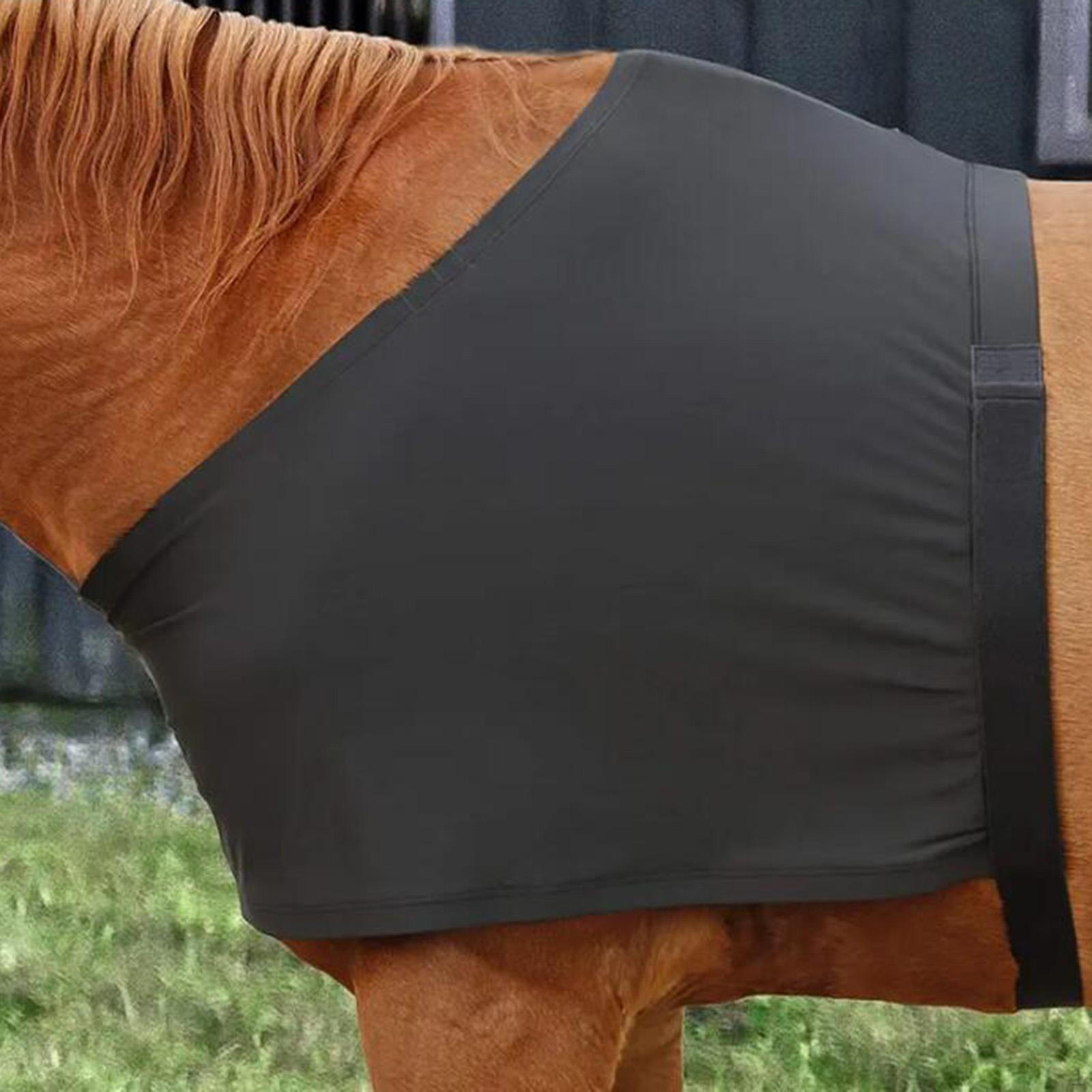 Защита плеча лошади для защиты попоны, быстросъемный спандекс L
Защита плеча лошади для защиты попоны, быстросъемный спандекс L