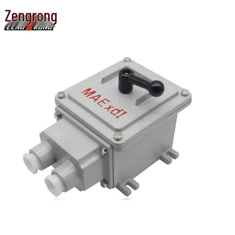Zengrong Explosion-Proof Changeover Switch 380V 100A
Zengrong Explosion-Proof Changeover Switch 380V 100A