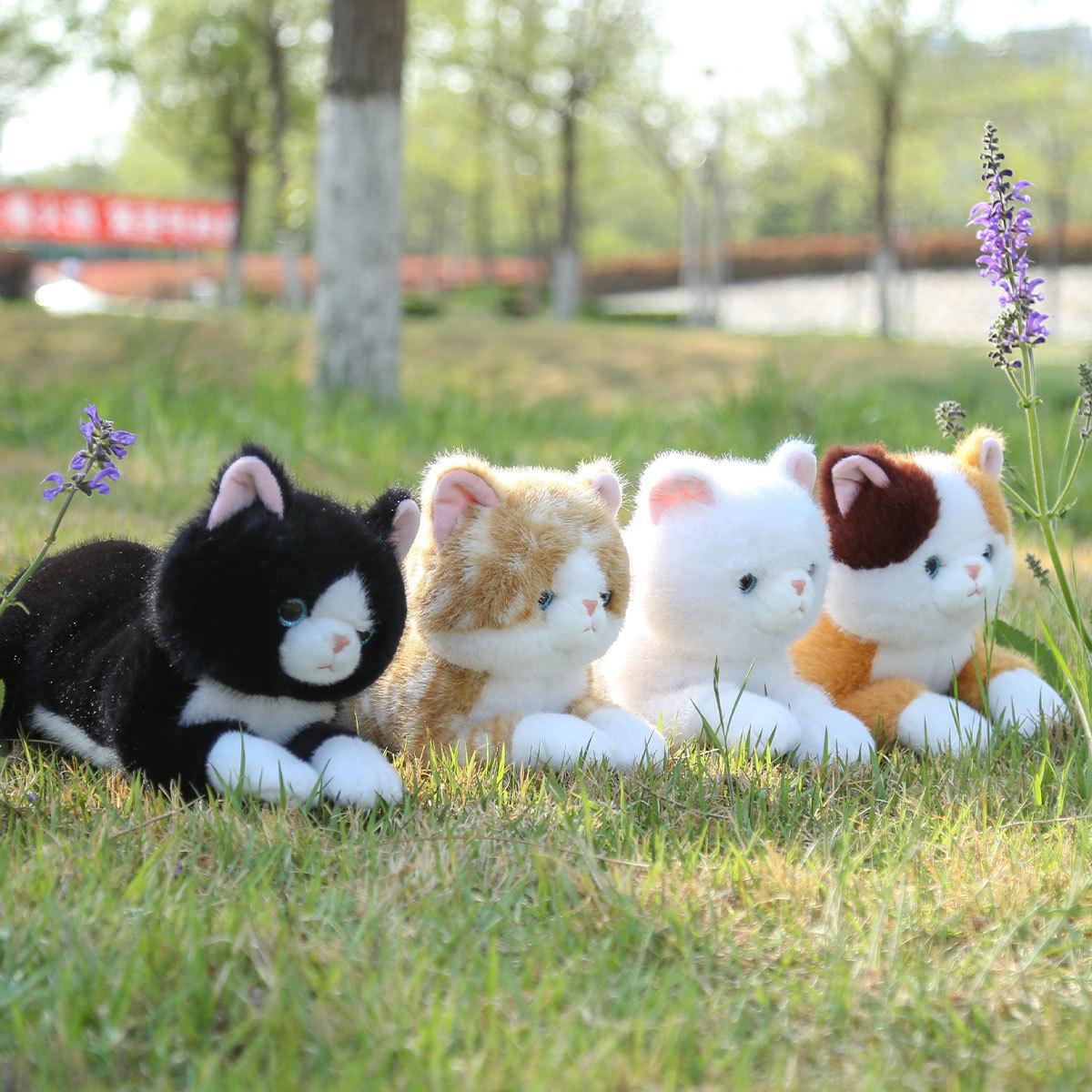 Set Dudu Lying Pose Silly Kitten Plush Toy - Cute Kitten Doll Pillow Birthday Gift for Girls 50 cm
Set Dudu Lying Pose Silly Kitten Plush Toy - Cute Kitten Doll Pillow Birthday Gift for Girls 50 cm