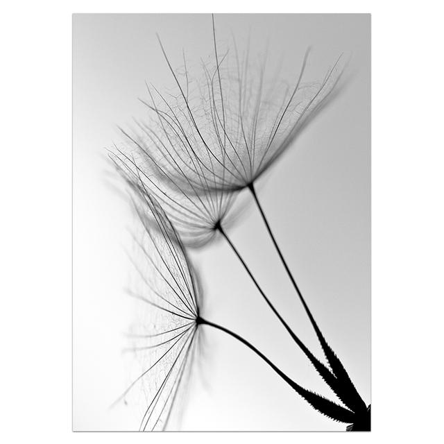 Flower Dandelion Canvas Painting Modern Black and White Art Photos for Living Room Abstract Wall Poster and Print 21cm x 30cm No Frame
Flower Dandelion Canvas Painting Modern Black and White Art Photos for Living Room Abstract Wall Poster and Print 21cm x 30cm No Frame