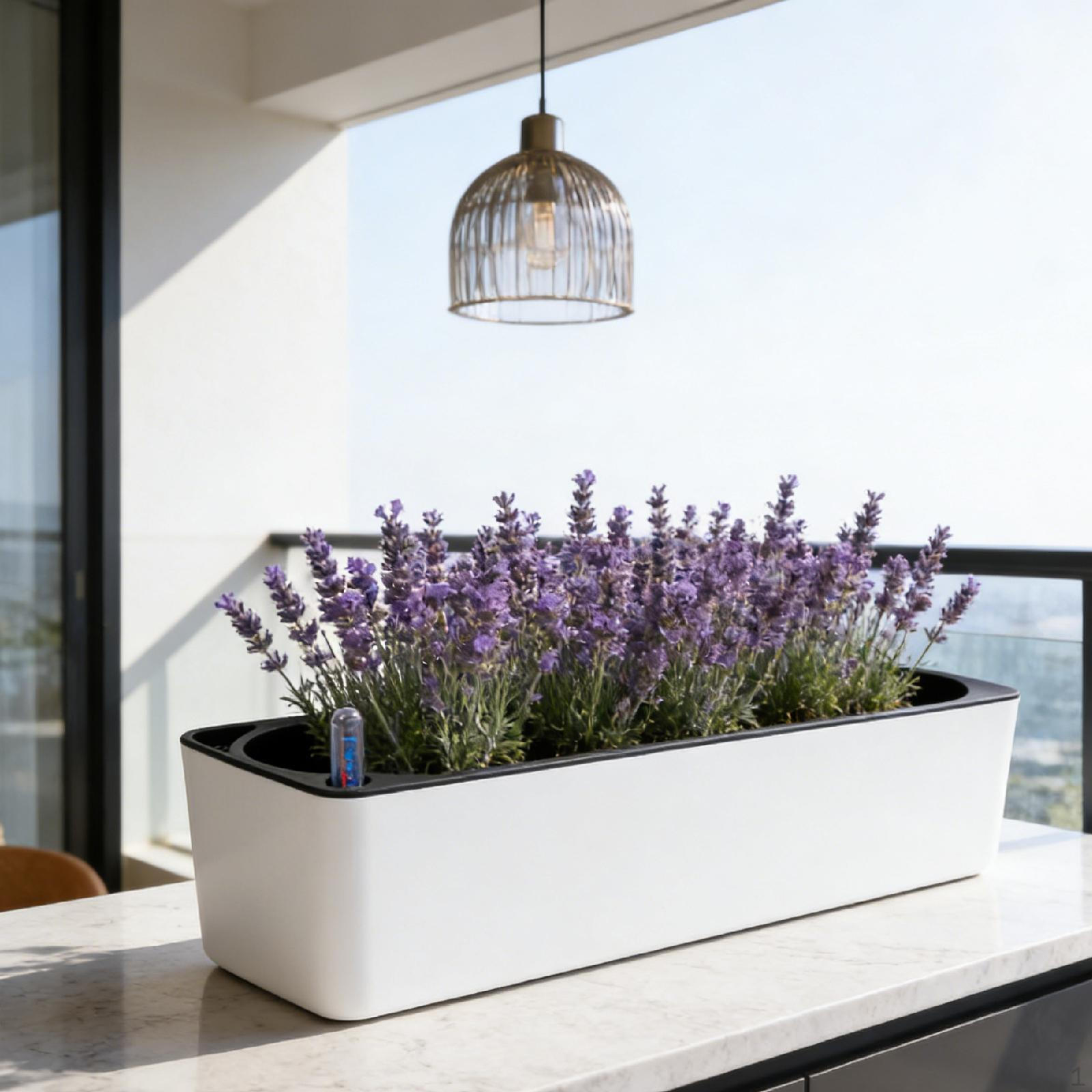 African Flower Pot with Self-Watering System And Water Level Indicator, Decorative, for Desktop Or 40x13x13cm
African Flower Pot with Self-Watering System And Water Level Indicator, Decorative, for Desktop Or 40x13x13cm