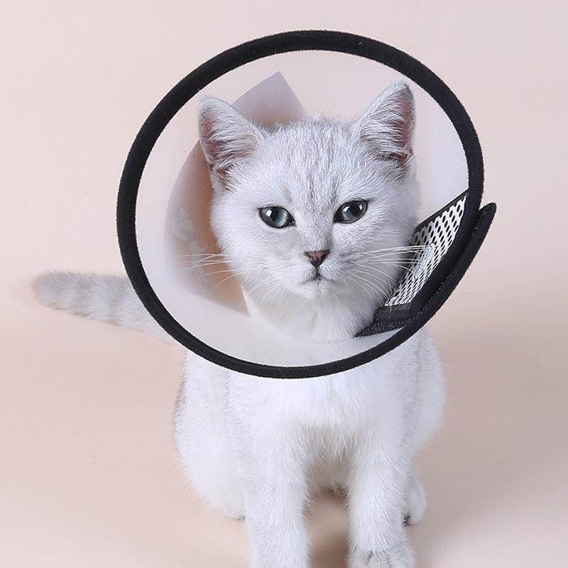 Pet Elizabeth Hoop Cat Dog Collar Beauty Headgear Anti-Lick Bite Dog Neck Hoop Pet Collar Regular - extra large
Pet Elizabeth Hoop Cat Dog Collar Beauty Headgear Anti-Lick Bite Dog Neck Hoop Pet Collar Regular - extra large