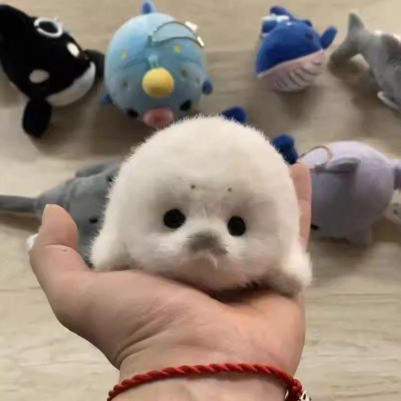 Plush Baby Seal Pendant - Ocean Guardian Toy Gift
Plush Baby Seal Pendant - Ocean Guardian Toy Gift