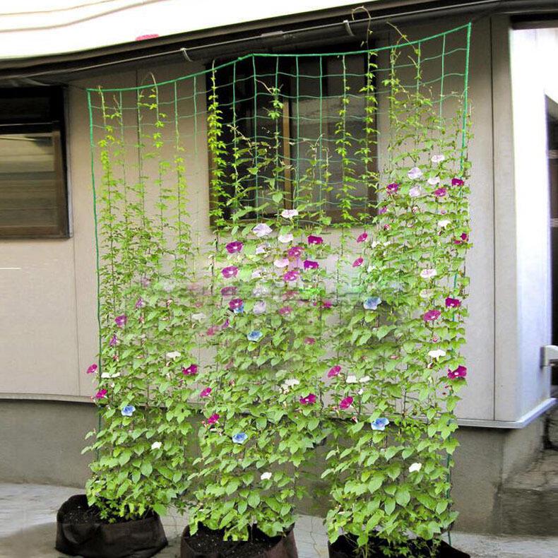 Cucumber & Melon Climbing Net: 27-Strand Support for Vines and Morning Glories 2.7m x 1.8m Standard
Cucumber & Melon Climbing Net: 27-Strand Support for Vines and Morning Glories 2.7m x 1.8m Standard