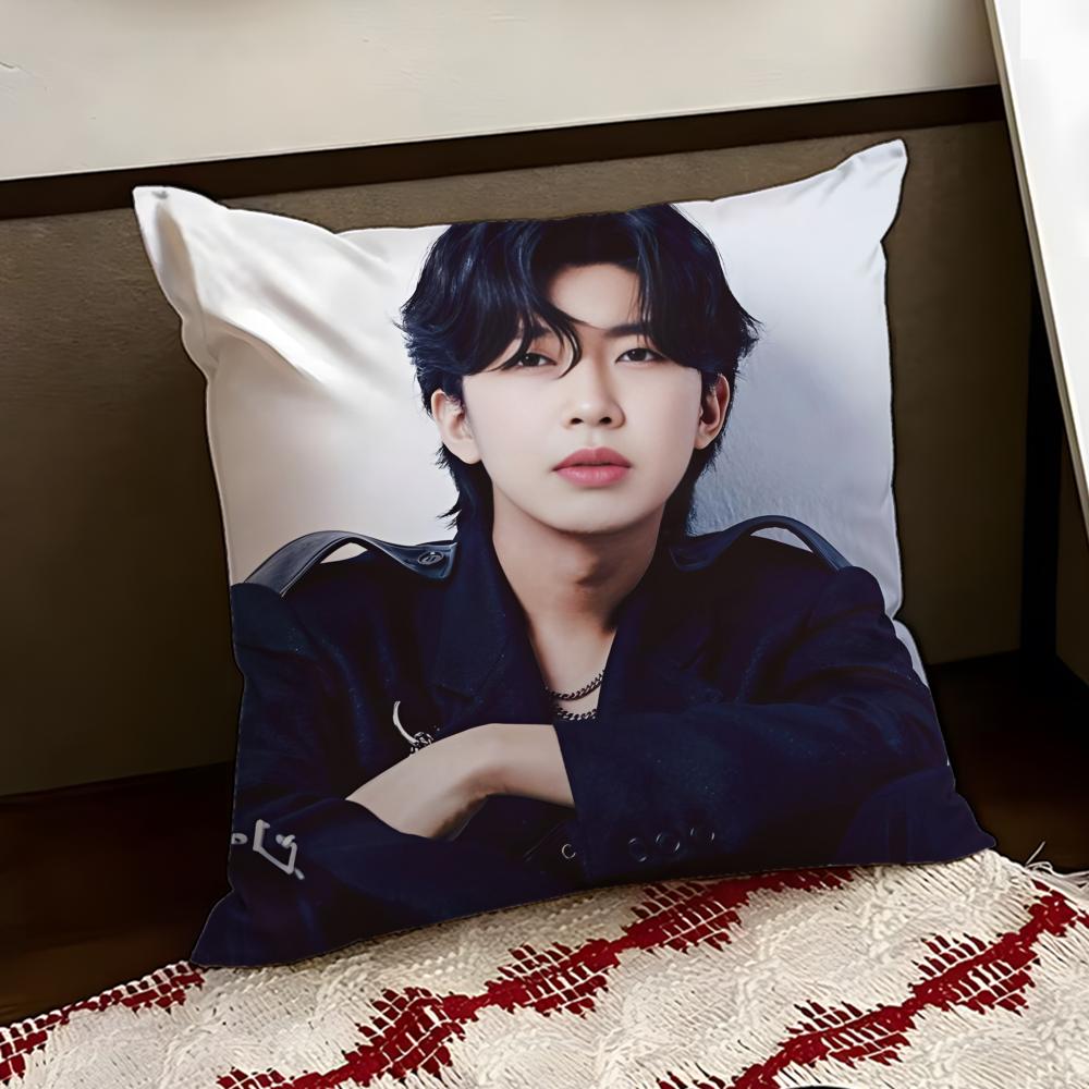 LLim Young WWoong Cushion Cover Reversible Soft Durable Pillow Cover Home Car MultiScene Use for Daily Comfort 30X30cm
LLim Young WWoong Cushion Cover Reversible Soft Durable Pillow Cover Home Car MultiScene Use for Daily Comfort 30X30cm