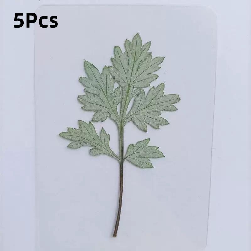 15Pcs Lucky Simulation Four-Leaf Clover Postcards Shamrock Stems Transparent Wishing Cards Ideal For Bookmarks & Decorations
15Pcs Lucky Simulation Four-Leaf Clover Postcards Shamrock Stems Transparent Wishing Cards Ideal For Bookmarks & Decorations