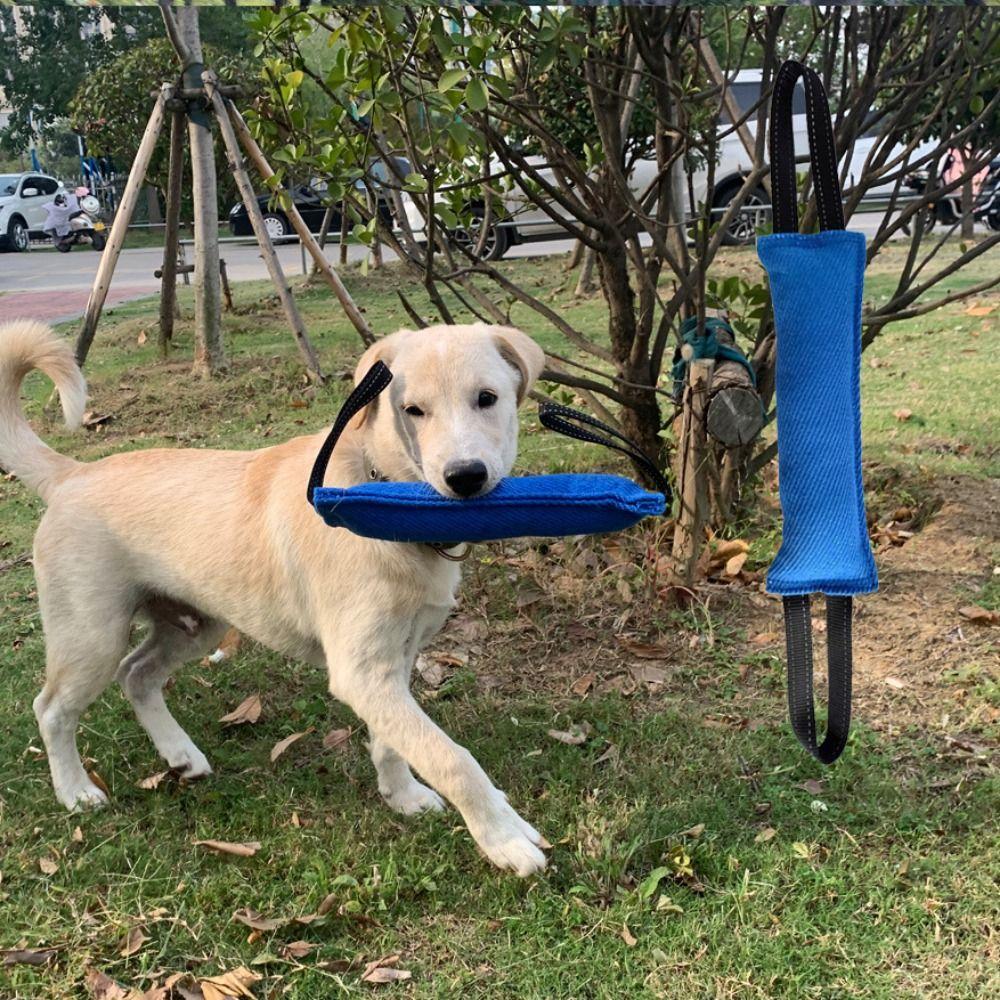 Oxford Dog Tear-Resistant Cloth Bite Resistant Dog Molar Stick Dog Training Bite Stick Training зелёный
Oxford Dog Tear-Resistant Cloth Bite Resistant Dog Molar Stick Dog Training Bite Stick Training зелёный