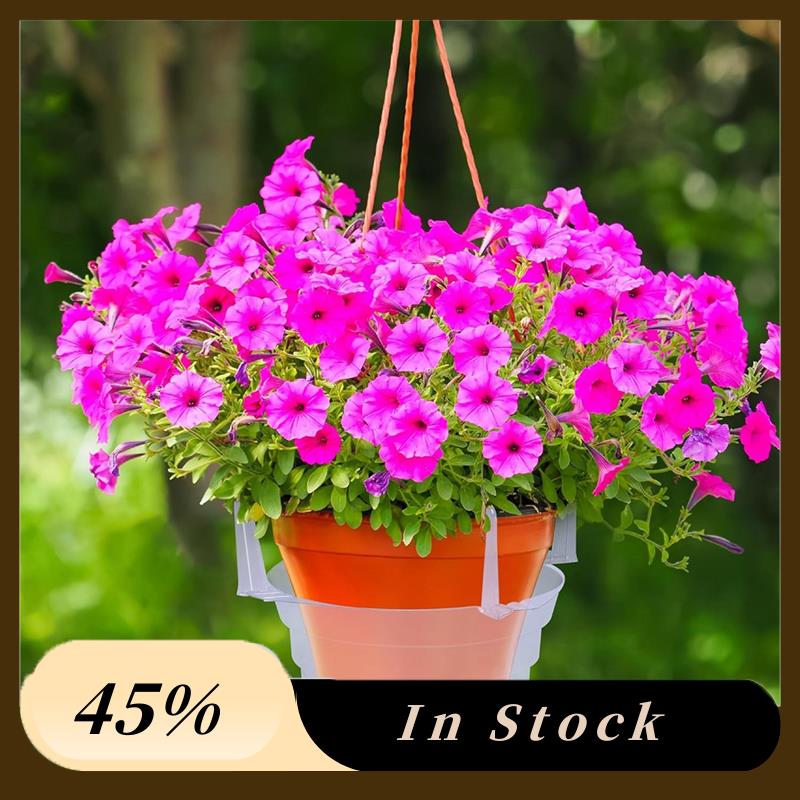 A60Z Top Drip Pan Plant Water Catcher-15 Pcs Clear Plastic Hanging Plant Saucer-Water Trays For Plants 12Inch
A60Z Top Drip Pan Plant Water Catcher-15 Pcs Clear Plastic Hanging Plant Saucer-Water Trays For Plants 12Inch