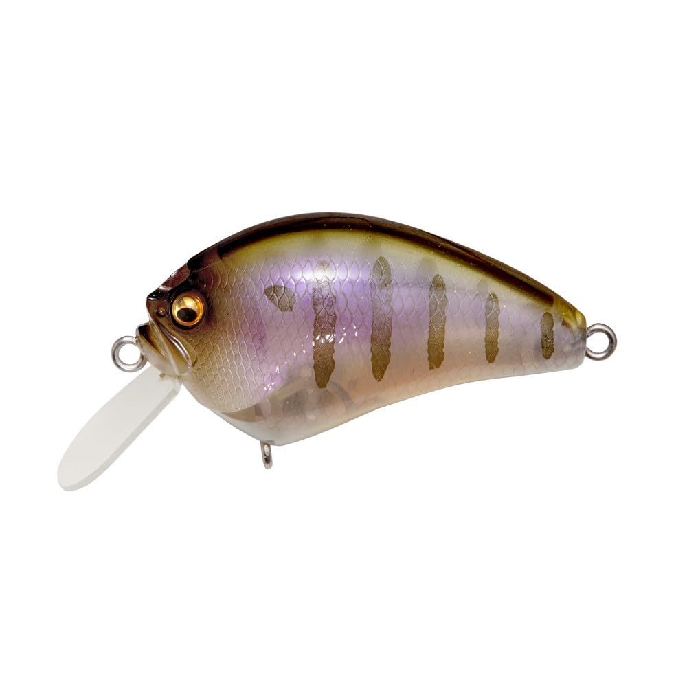 IXI BLOWLY Gil
IXI BLOWLY Gil