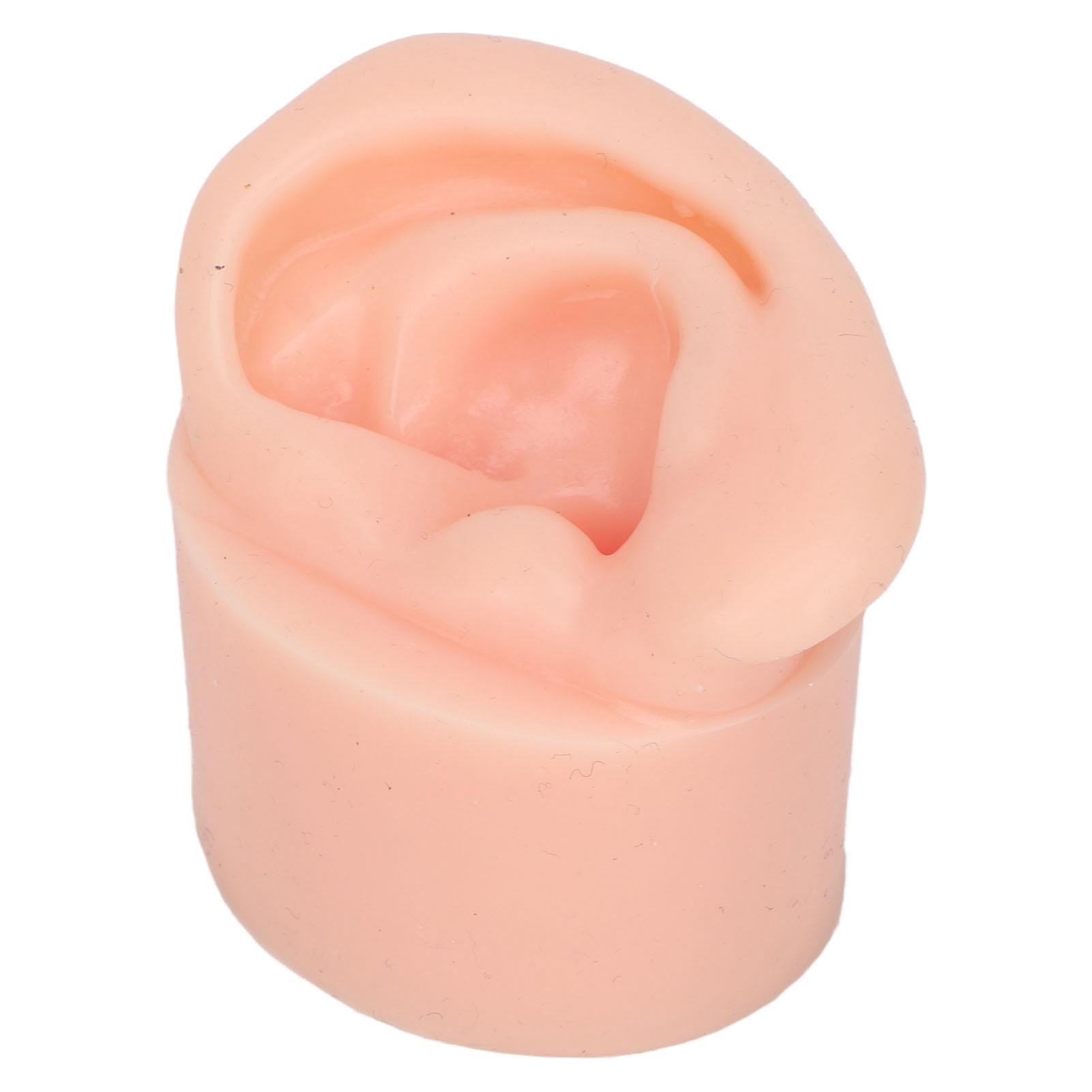 Силиконовая модель уха, гибкая, мягкая, многоразовая, высокая имитация, прокалывающая модель уха для образовательного показа
Силиконовая модель уха, гибкая, мягкая, многоразовая, высокая имитация, прокалывающая модель уха для образовательного показа