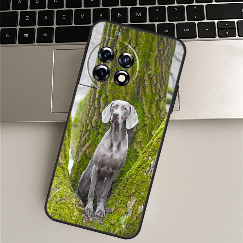 Weimaraner Dog Case For OnePlus Nord 5 CE 3 4 Lite N20 N30 OnePlus 15 R 13T 10T 9 Pro 11 12 13 12R 13R Cover OnePlus 15R
Weimaraner Dog Case For OnePlus Nord 5 CE 3 4 Lite N20 N30 OnePlus 15 R 13T 10T 9 Pro 11 12 13 12R 13R Cover OnePlus 15R
