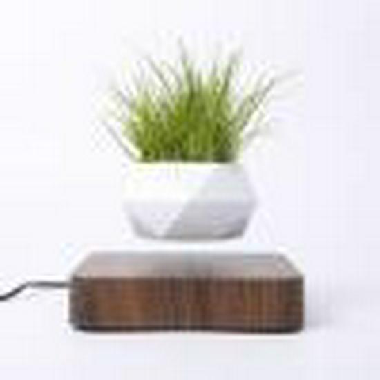 Magnetic Levitating Flower Pot: Hanging Air Plant Ornament for Home & Office
Magnetic Levitating Flower Pot: Hanging Air Plant Ornament for Home & Office