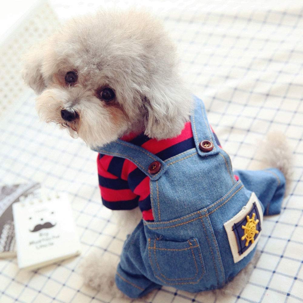 SEHOO Dog Denim Dog Dog Одежда для собак малых и средних домашних животных в холодную погоду для предотвращения появления волос Популярная одежда, парка, комбинезон, одежда, комбинезоны, одежда, весна,
SEHOO Dog Denim Dog Dog Одежда для собак малых и средних домашних животных в холодную погоду для предотвращения появления волос Популярная одежда, парка, комбинезон, одежда, комбинезоны, одежда, весна,