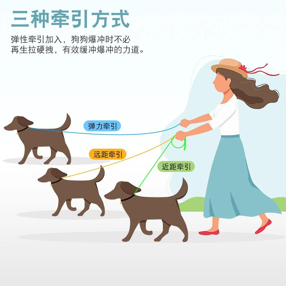 New Dog Leash Multifunctional Pet Leash Explosion-proof Dog Rope Pet Items 2.5cm 1.25m серый
New Dog Leash Multifunctional Pet Leash Explosion-proof Dog Rope Pet Items 2.5cm 1.25m серый