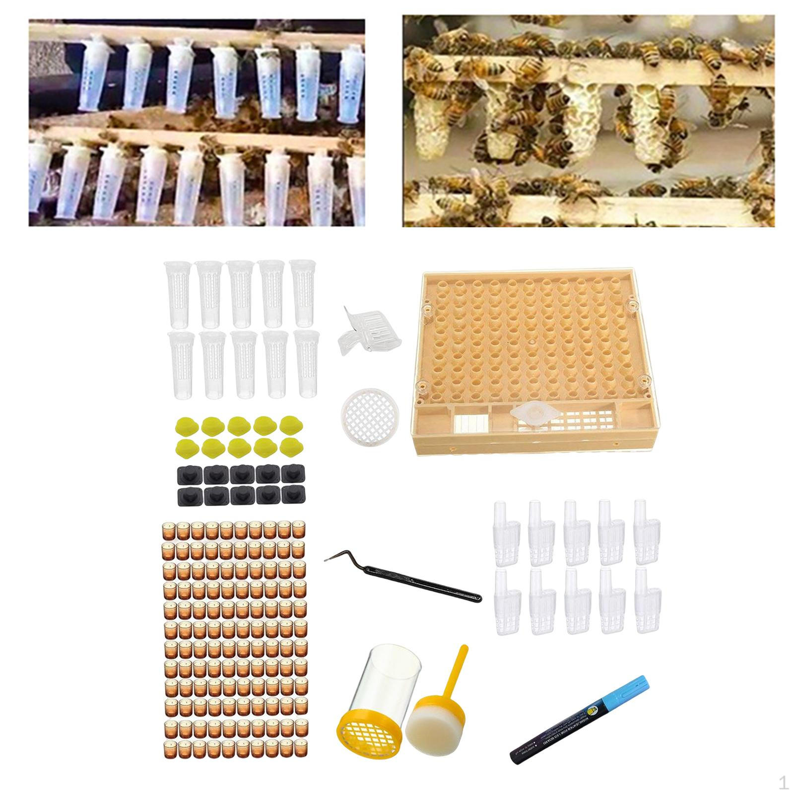 Bee Queen Rearing Grafting Kit High Plastic Equipment Beekeeper Tool Catcher Cage for Apiculture Box
Bee Queen Rearing Grafting Kit High Plastic Equipment Beekeeper Tool Catcher Cage for Apiculture Box