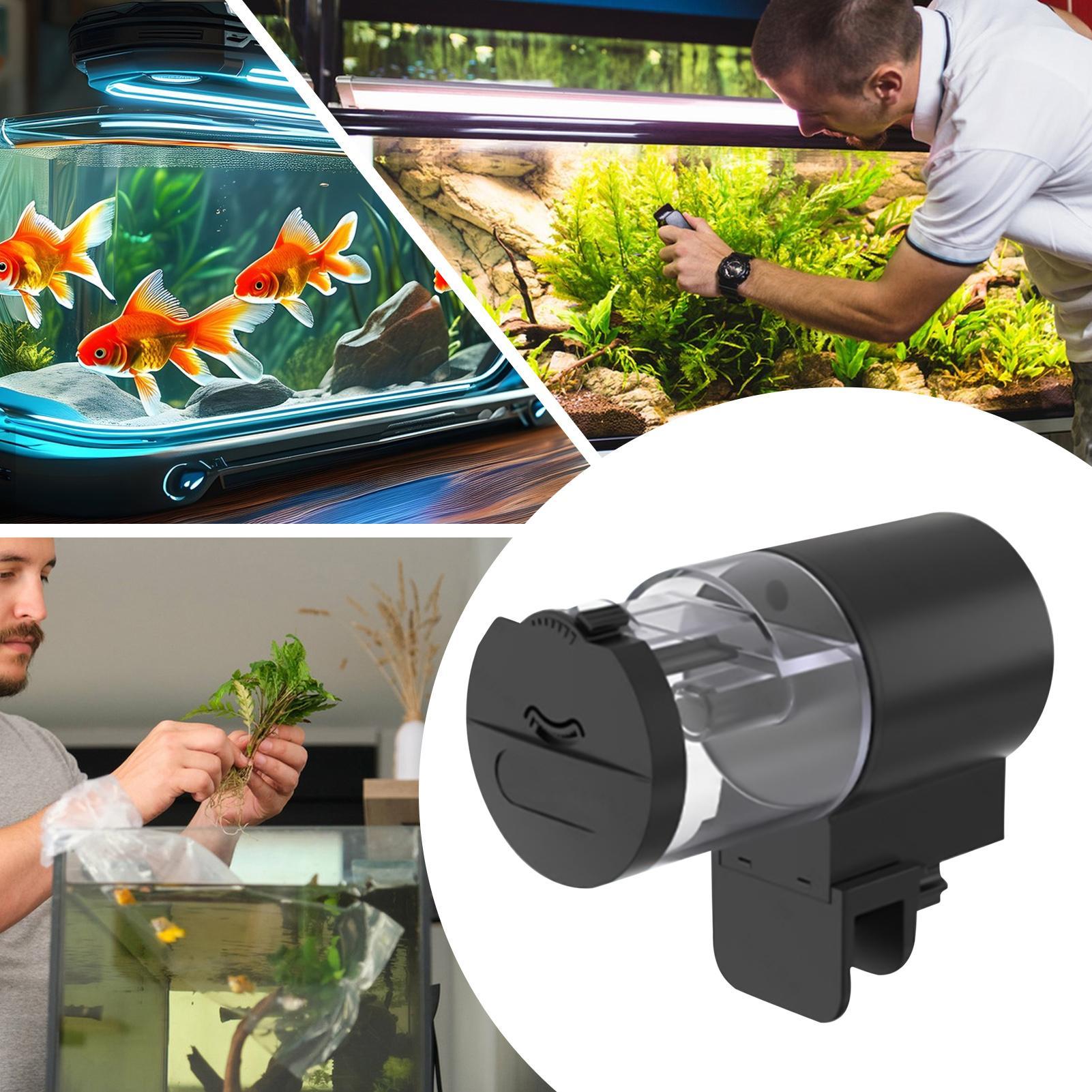 Automatic Fish Feeder 100ml Fish Tank Automatic Feeder Battery Operated Machine Programmable Pellets For Travel Apartment CHINA
Automatic Fish Feeder 100ml Fish Tank Automatic Feeder Battery Operated Machine Programmable Pellets For Travel Apartment CHINA