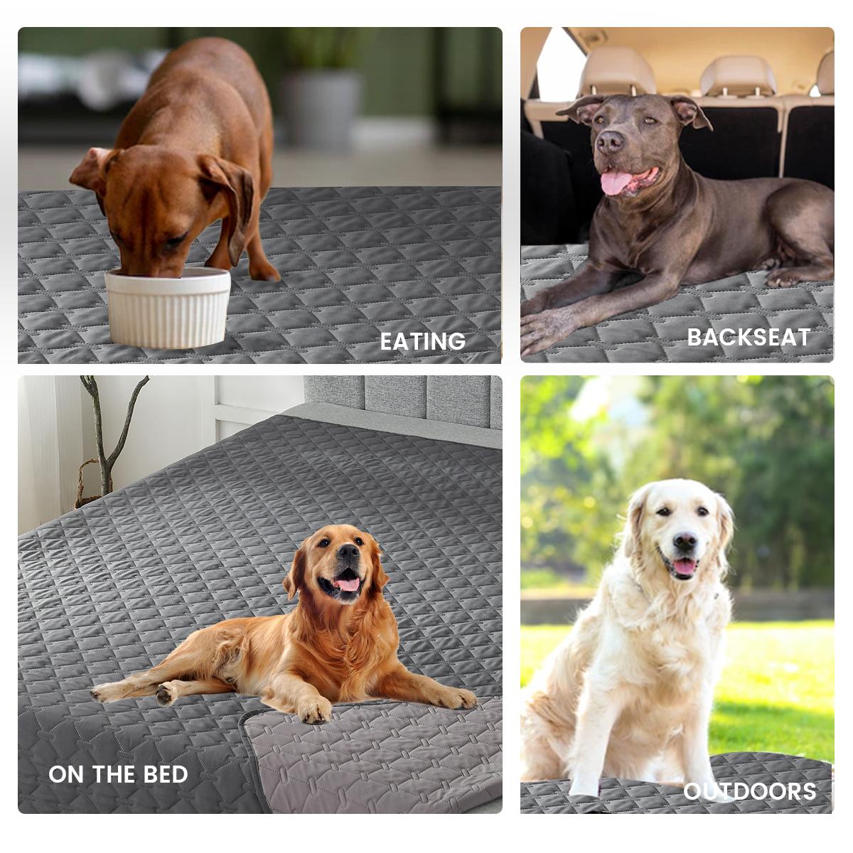 100% Double-Sided Dog Bed Cover Pet Blanket Sofa Couch Furniture Protector for Kids Children Dog Cat, Reversible 30x30inch серый
100% Double-Sided Dog Bed Cover Pet Blanket Sofa Couch Furniture Protector for Kids Children Dog Cat, Reversible 30x30inch серый