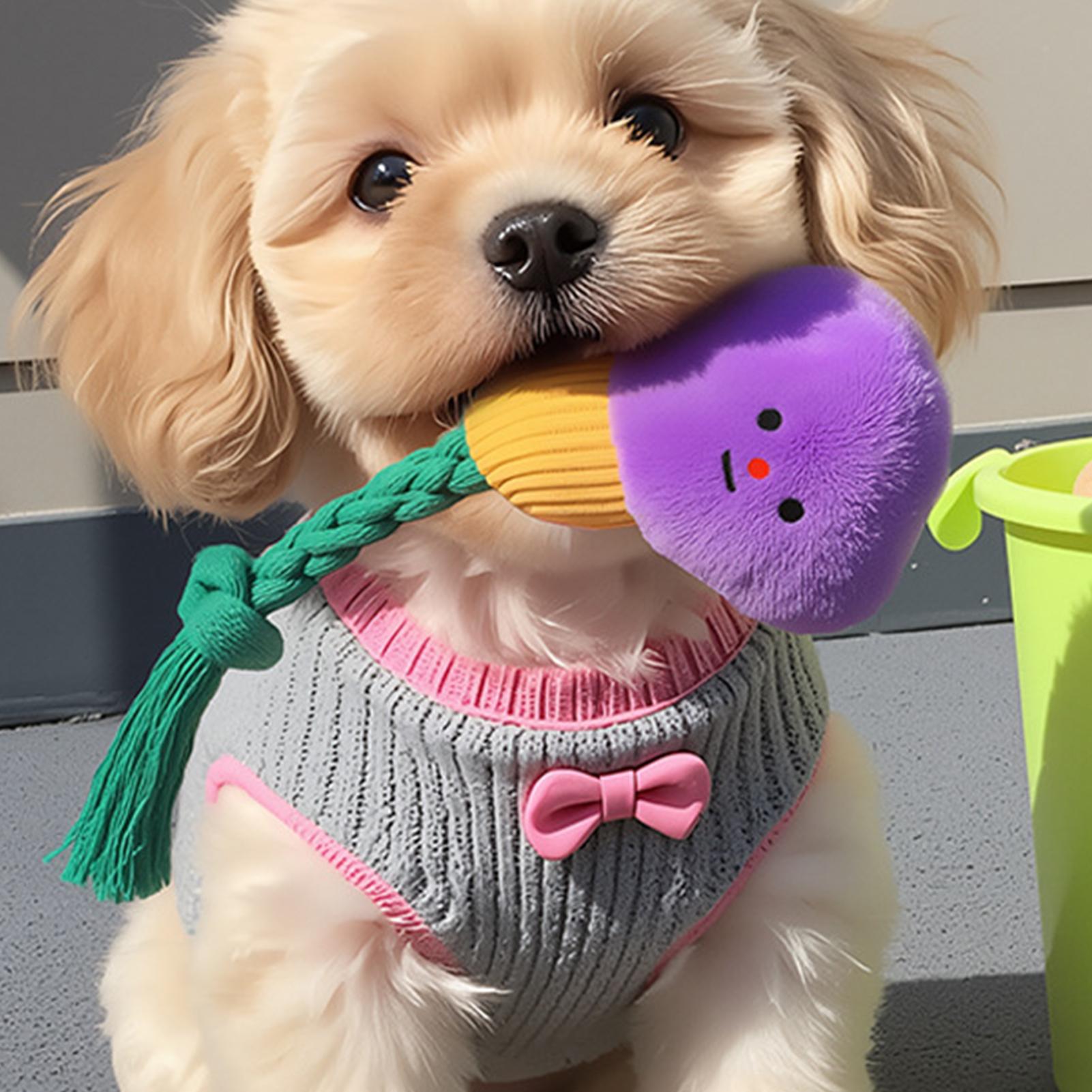 Chew Toys for Dogs Dog Squeaky Teething Rope Toy Pet Chewing Plush Doll for Home Training Indoor Outdoor Playtime Family China Mainland
Chew Toys for Dogs Dog Squeaky Teething Rope Toy Pet Chewing Plush Doll for Home Training Indoor Outdoor Playtime Family China Mainland