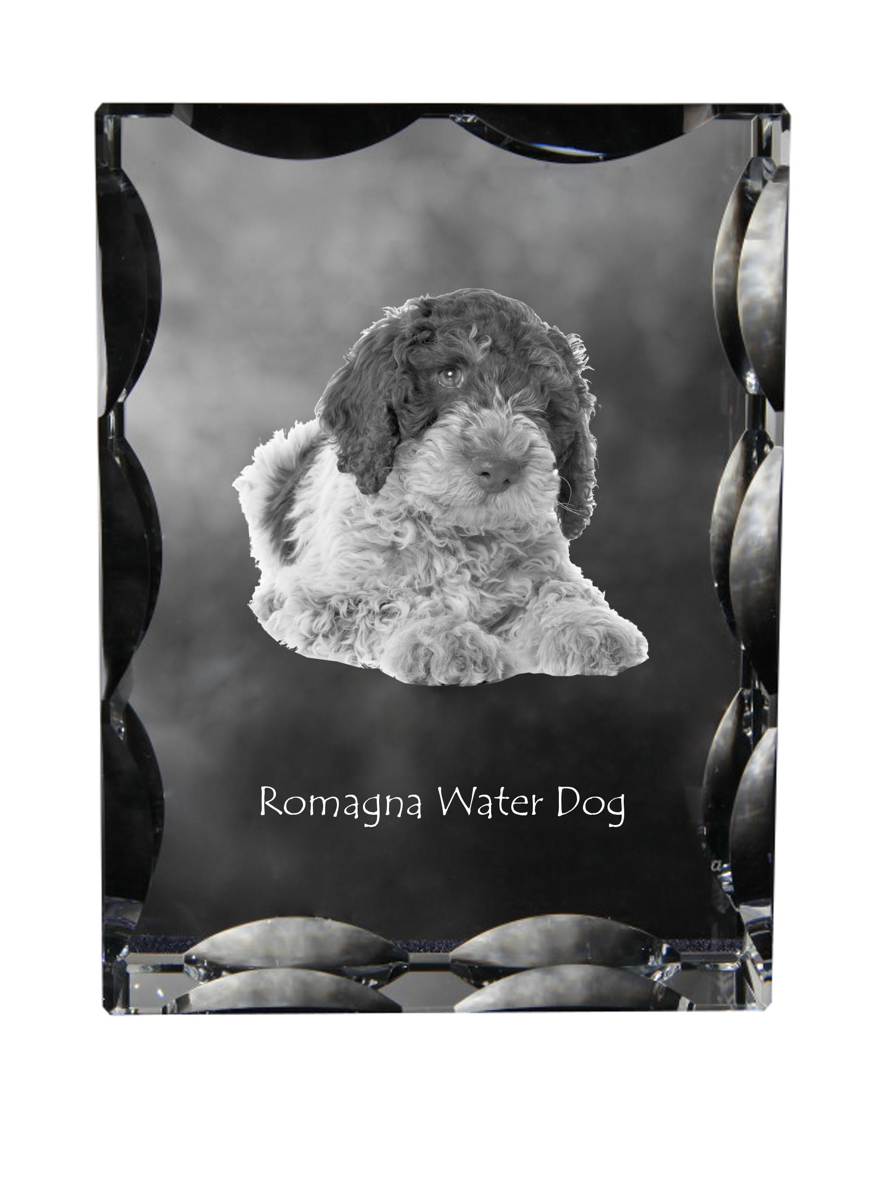 Romagna Water Dog - crystal with a picture of a dog, glass statuette with a picture, unique frame with a picture from Art-Dog brand прозорий
Romagna Water Dog - crystal with a picture of a dog, glass statuette with a picture, unique frame with a picture from Art-Dog brand прозорий