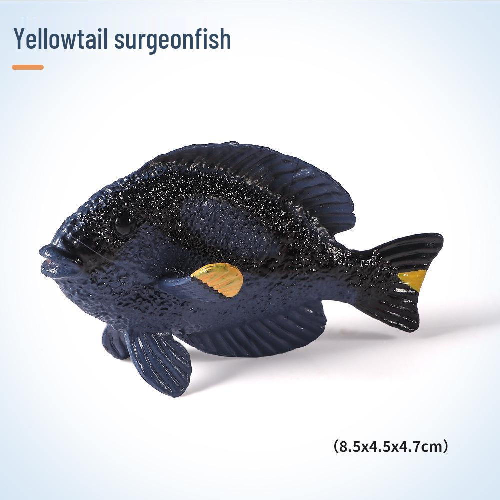 Модели морских животных: Тропические рыбы, Наутилус, Морская звезда и Ихтиозавр Развивающие игрушки для детей
Модели морских животных: Тропические рыбы, Наутилус, Морская звезда и Ихтиозавр Развивающие игрушки для детей