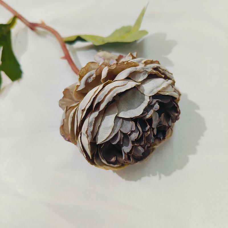 Искусственный цветок, чайная роза с одним краем, пион, искусственный цветок, жареный край, пион, шелковый цветок, осеннее украшение для волос, цветочное украшение для гостиной светло-фиолетовый
Искусственный цветок, чайная роза с одним краем, пион, искусственный цветок, жареный край, пион, шелковый цветок, осеннее украшение для волос, цветочное украшение для гостиной светло-фиолетовый