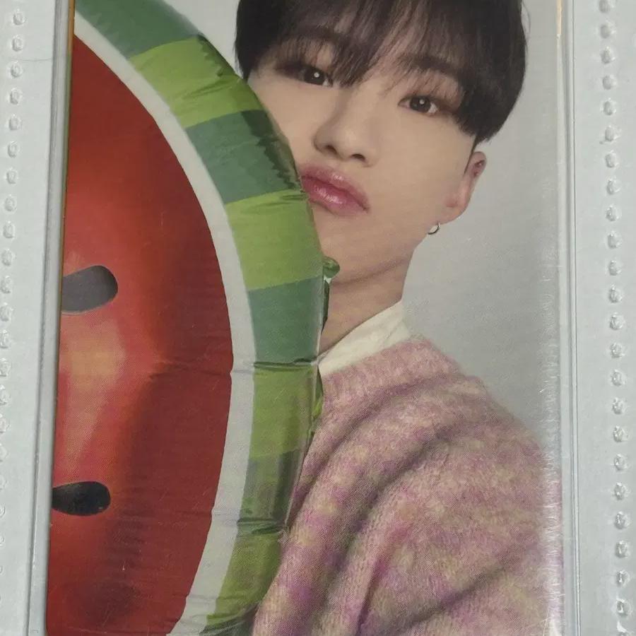 Svt Seventeen Япония Альбом Watermel Hoshipoka 
Svt Seventeen Япония Альбом Watermel Hoshipoka