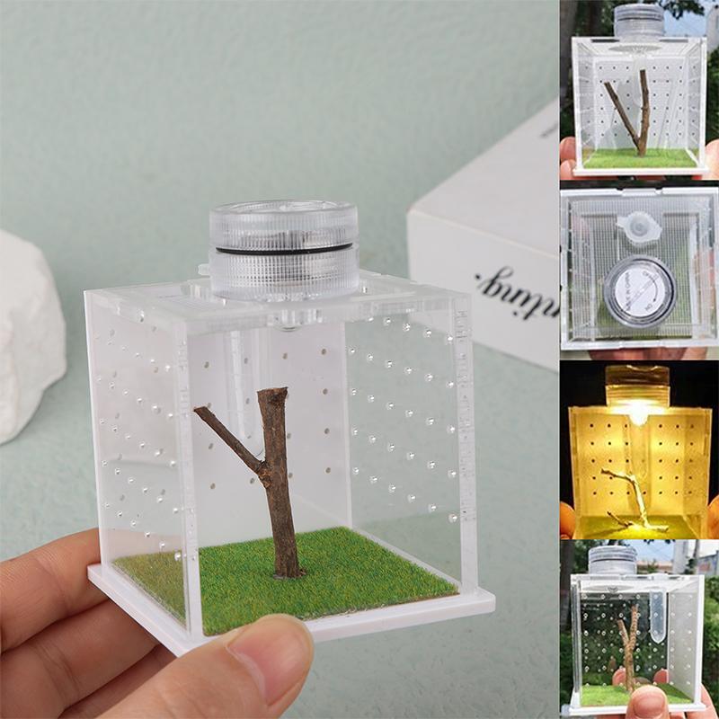 Jumping Spider Enclosure - Acrylic Reptile Breeding Box Jumping Spider Box With Light Humidifier Feeding Container Accessories 6.5cm
Jumping Spider Enclosure - Acrylic Reptile Breeding Box Jumping Spider Box With Light Humidifier Feeding Container Accessories 6.5cm